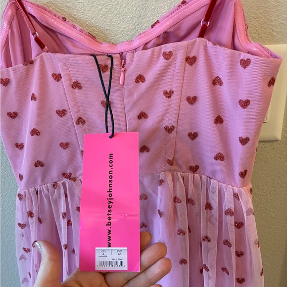 VIRAL VALENTINES DRESS BETSEY JOHNSON MESH SLIP SWEETHEART DRESS SIZE 2 NWT - Picture 8 of 9